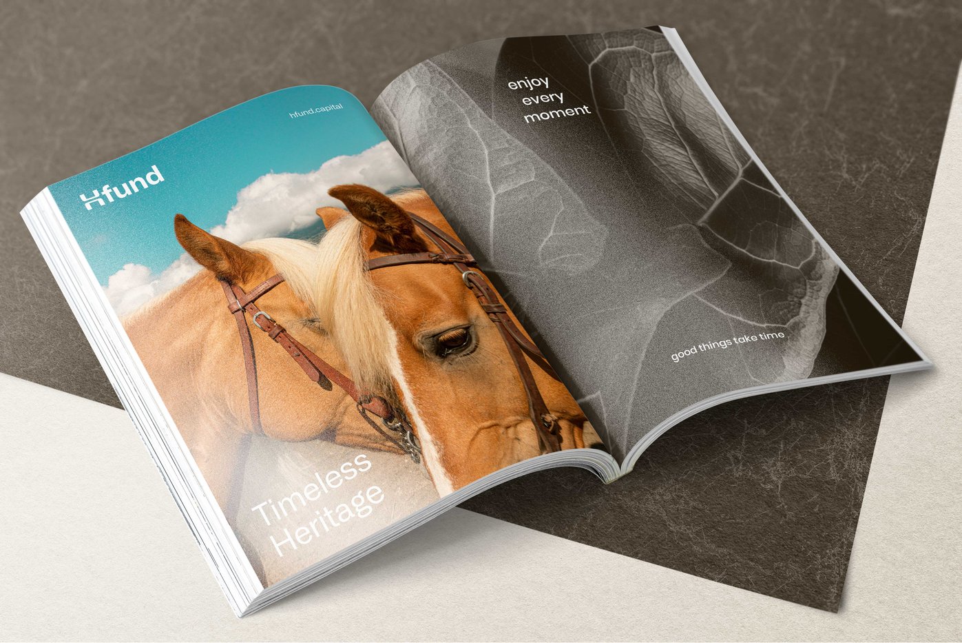 rm355-pf-card-magazine-01-mockup